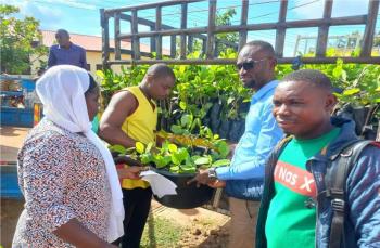 Cashew Development Project